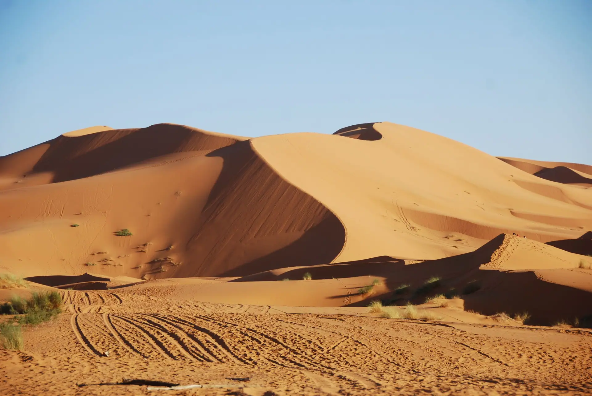 Mesmerizing view of sand dunes under a clear blue sky in Merzouga, Morocco.